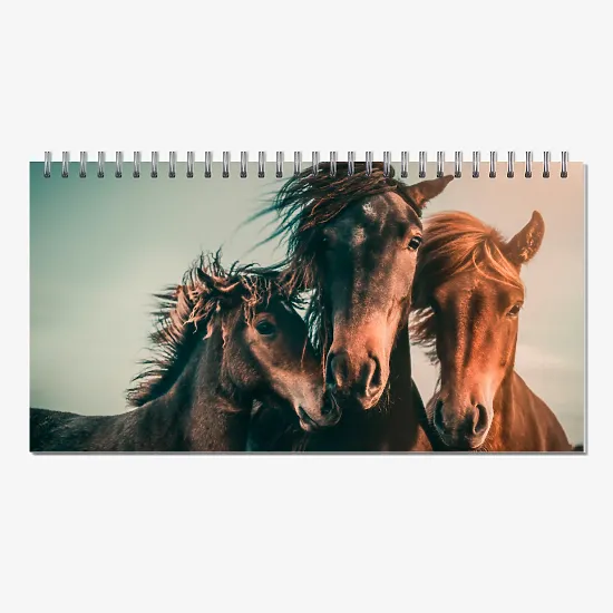 Kalendoriaus šablonas su žirgais