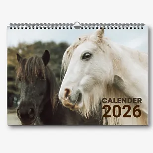 Sieninio kalendoriaus šablonas su žirgais