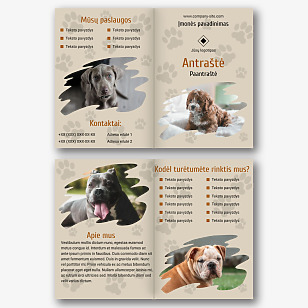 Gyvūnų Prieglaudos Brošiūros Šablonas